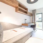 Rent 3 bedroom apartment of 130 m² in Zagreb