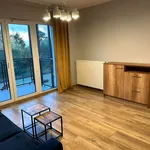 Rent 1 bedroom apartment of 32 m² in Łódź