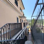 Affitto 2 camera appartamento di 50 m² in Monte Porzio Catone