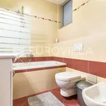 Rent 3 bedroom apartment of 120 m² in Zagreb