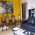 Rent 3 bedroom apartment of 91 m² in Turin