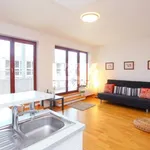 Rent 2 bedroom apartment of 50 m² in Prague