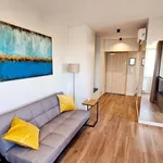 Rent 2 bedroom apartment of 44 m² in Wrocław