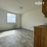 Pronájem bytu 1+1 42m²