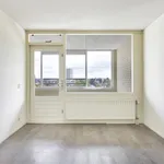 Rent 2 bedroom apartment of 95 m² in Maastricht