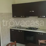 Rent 2 bedroom apartment of 60 m² in Frosinone