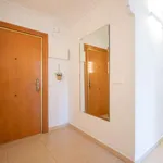 Rent a room in valencia