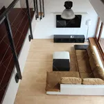 Rent 2 bedroom apartment of 164 m² in Budapest