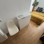 Rent 3 bedroom apartment of 45 m² in Dresden