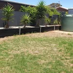 Rent 3 bedroom house in  Murray Bridge SA 5253                        