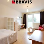 Rent 2 bedroom apartment of 35 m² in Brno