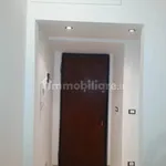 Rent 1 bedroom apartment of 33 m² in Turin