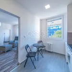 Rent 2 bedroom apartment of 43 m² in Havířov