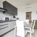 Rent 1 bedroom apartment in Florence