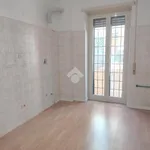 Rent 3 bedroom apartment of 110 m² in Roma