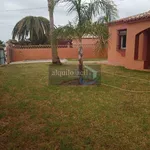 Rent 2 bedroom house of 431 m² in Malaga