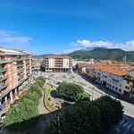 3 locali - arredato - borgo san dalmazzo - € 700 / mese