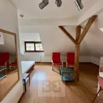 Rent 1 bedroom apartment in Beroun