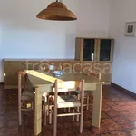 Rent 3 bedroom apartment of 85 m² in Centola