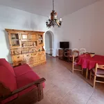 Rent 2 bedroom apartment of 50 m² in Carovigno