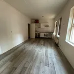 Rent 2 bedroom apartment of 62 m² in Binnenstad-Zuid