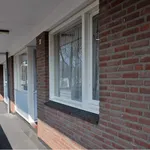 Rent 3 bedroom apartment of 70 m² in Tilburg