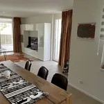 Rent 3 bedroom apartment in Dietlikon