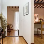 Rent 1 bedroom apartment in Florence