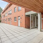 Rent 1 bedroom apartment in Leuven