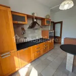 Rent 4 bedroom apartment of 110 m² in Genoa