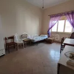 Rent 1 bedroom apartment of 21 m² in Palermo