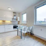 Rent 2 bedroom apartment of 55 m² in Pilsen