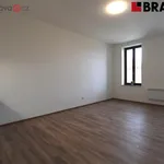 Rent 1 bedroom apartment of 31 m² in Brno