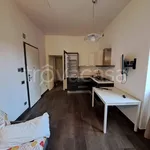 Rent 2 bedroom apartment of 54 m² in Torino