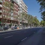 Rent a room of 167 m² in madrid