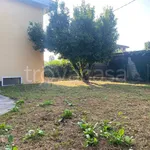 Appartamento in affitto a Carvico via Gaetano Donizetti, 6, non arredato/vuoto, giardino, ristrutturato - TrovaCasa