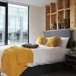 Rent a room of 50 m² in dublin