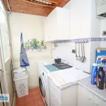 Rent 4 bedroom apartment of 115 m² in Palermo