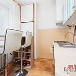 Rent 3 bedroom apartment of 74 m² in Pilsen