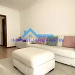 Rent 1 bedroom apartment of 72 m² in Treviso