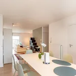 Rent 2 bedroom apartment in Willebroek