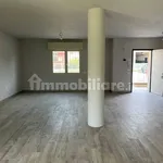 Affitto 3 camera casa di 155 m² in Montichiari