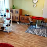 Rent 1 bedroom apartment in Budapest