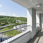 Pronajměte si 4 ložnic/e byt o rozloze 110 m² v Prague