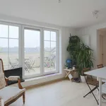 Rent 2 bedroom apartment of 50 m² in brussels