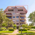 Rent 3 bedroom apartment in Edegem