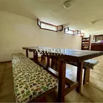 Affitto 5 camera casa di 120 m² in Pietrasanta