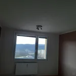 Rent 1 bedroom apartment in Ústí nad Labem