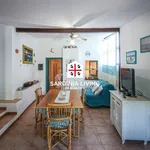 4-room flat via del mare snc, Punta Pietra Bianca, Loiri Porto San Paolo