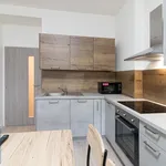 Rent 2 bedroom apartment of 38 m² in Capital City of Prague